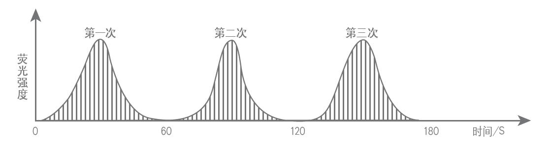 断续流动进样